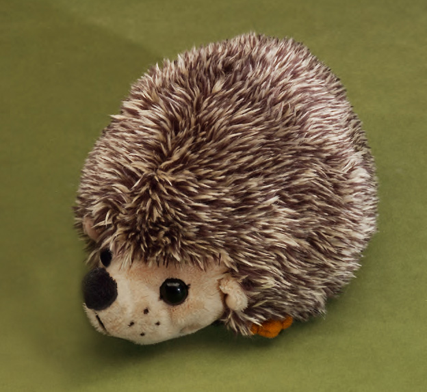 Igel